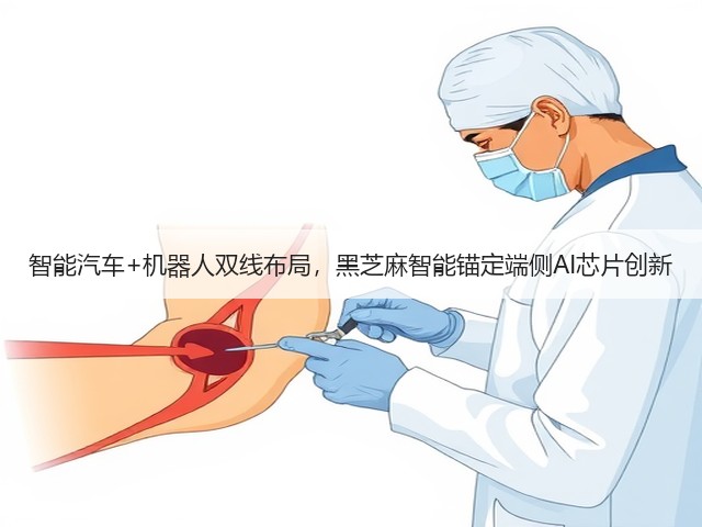 智能汽车+机器人双线布局，黑芝麻智能锚定端侧AI芯片创新(图1)