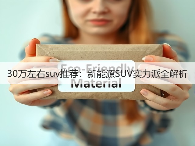 30万左右suv推荐：新能源SUV实力派全解析(图3)