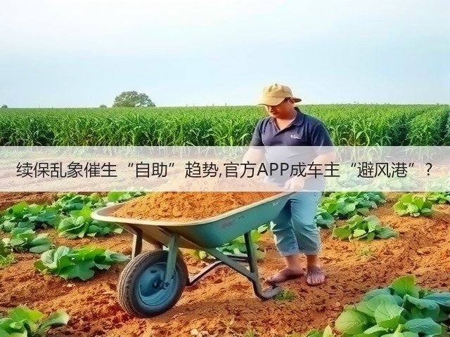 续保乱象催生“自助”趋势,官方APP成车主“避风港”?(图2) 续保乱象催生“自助”趋势,官方APP成车主“避风港”?(图2)