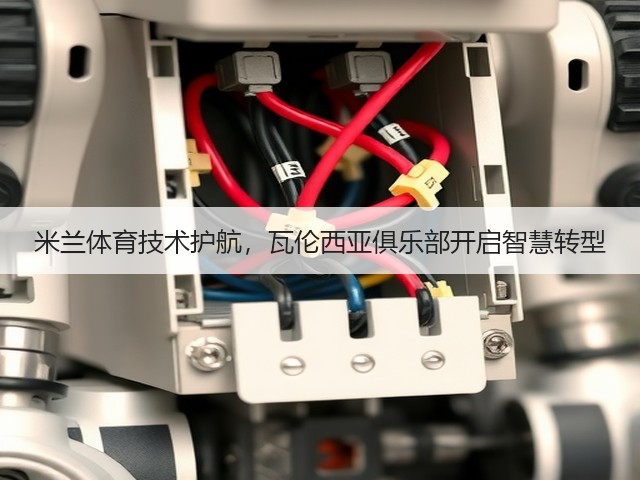 米兰体育技术护航,瓦伦西亚俱乐部开启智慧转型(图2) 米兰体育技术护航,瓦伦西亚俱乐部开启智慧转型(图2)