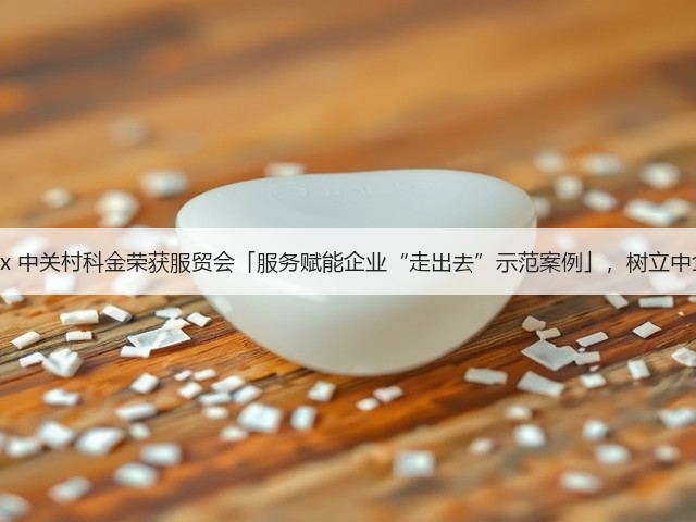Imou乐橙 x 中关村科金荣获服贸会「服务赋能企业“走出去”示范案例」,树立中企出海典范(图2) Imou乐橙 x 中关村科金荣获服贸会「服务赋能企业“走出去”示范案例」,树立中企出海典范(图2)