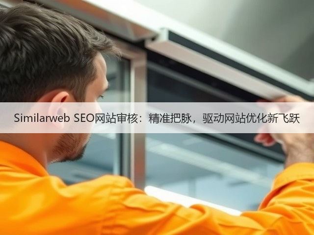 Similarweb SEO网站审核：精准把脉，驱动网站优化新飞跃(图1)
