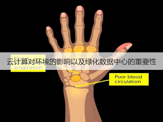 云计算对环境的影响以及绿化数据中心的重要性(图3)