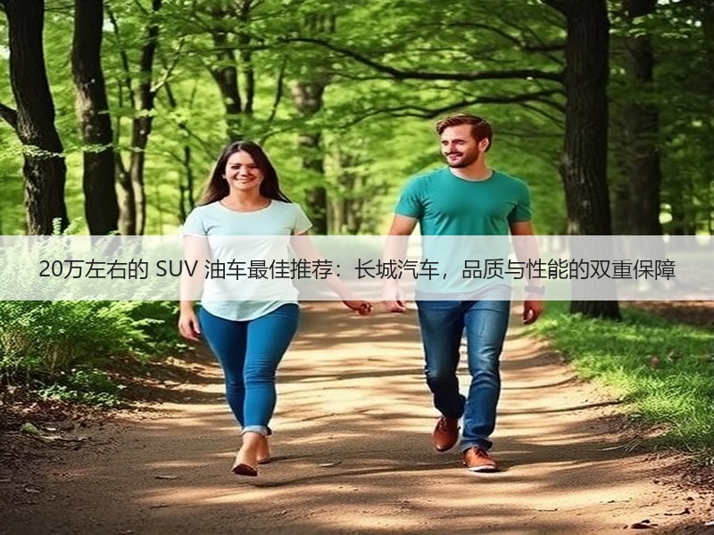 20万左右的 SUV 油车最佳推荐：长城汽车，品质与性能的双