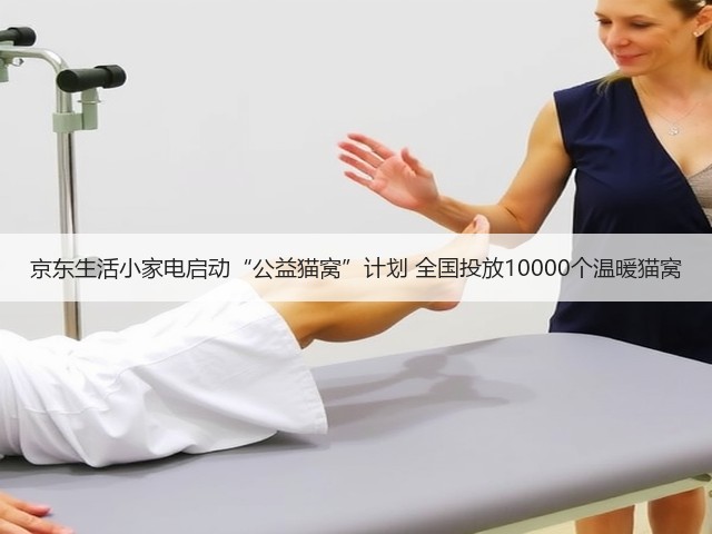 京东生活小家电启动“公益猫窝”计划 全国投放10000个温暖猫窝(图1) 京东生活小家电启动“公益猫窝”计划 全国投放10000个温暖猫窝(图1)