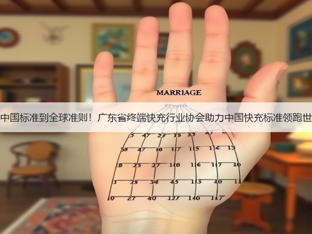 从中国标准到全球准则!广东省终端快充行业协会助力中国快充标准领跑世界(图2) 从中国标准到全球准则!广东省终端快充行业协会助力中国快充标准领跑世界(图2)