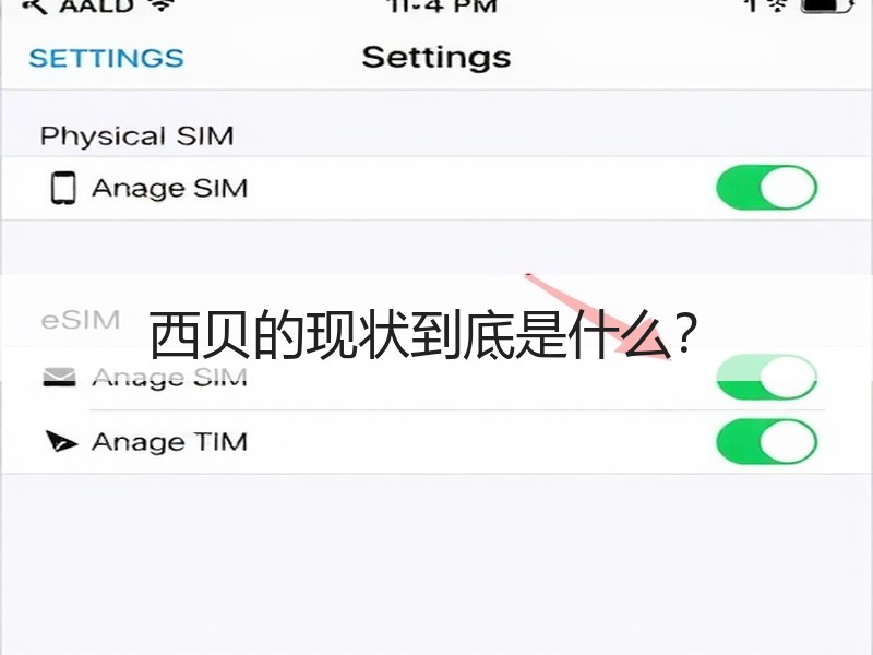 西贝的现状到底是什么？