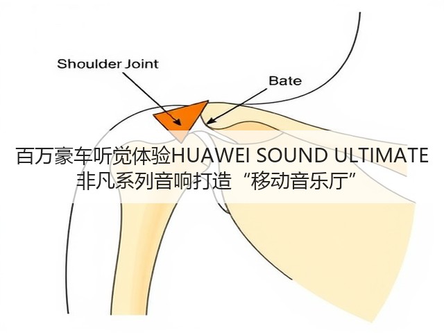 百万豪车听觉体验HUAWEI SOUND ULTIMATE 非凡系列音响打造“移动音乐厅”(图3)