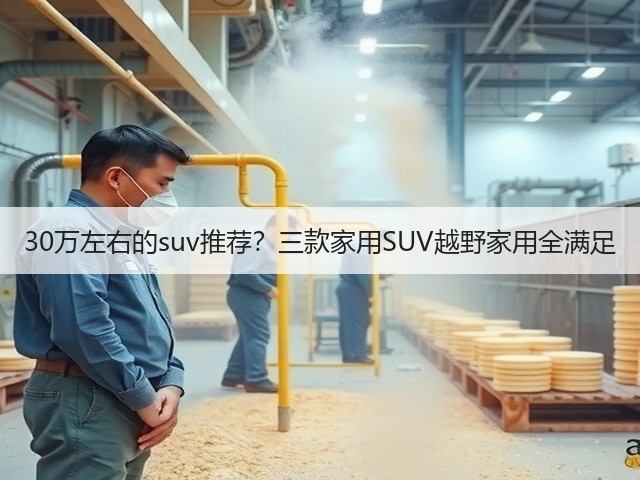 30万左右的suv推荐?三款家用SUV越野家用全满足(图2) 30万左右的suv推荐?三款家用SUV越野家用全满足(图2)