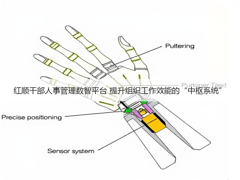红顺干部人事管理数智平台 提升组织工作效能的“中枢系统”