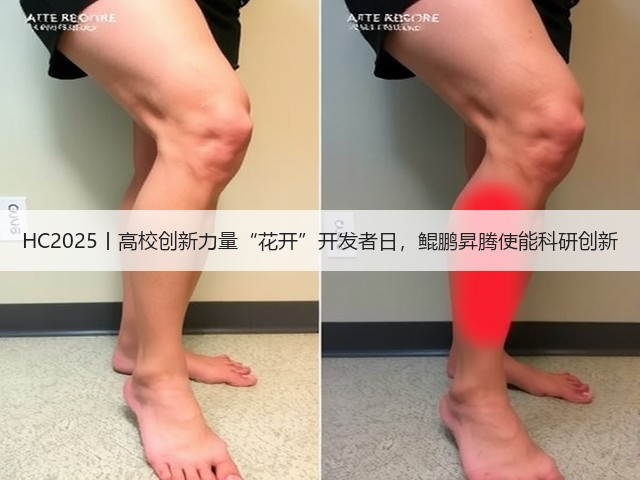HC2025丨高校创新力量“花开”开发者日,鲲鹏昇腾使能科研创新(图1) HC2025丨高校创新力量“花开”开发者日,鲲鹏昇腾使能科研创新(图1)