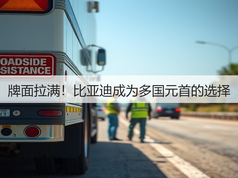 牌面拉满！比亚迪成为多国元首的选择