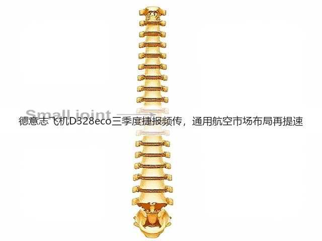 德意志飞机D328eco三季度捷报频传,通用航空市场布局再提速(图3) 德意志飞机D328eco三季度捷报频传,通用航空市场布局再提速(图3)