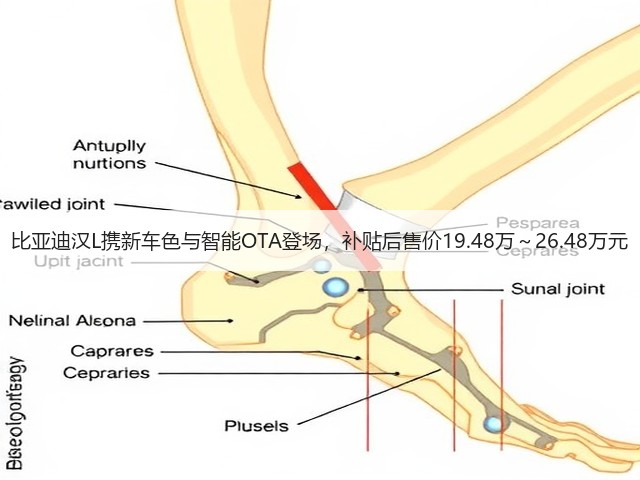 比亚迪汉L携新车色与智能OTA登场,补贴后售价19.48万~26.48万元(图3) 比亚迪汉L携新车色与智能OTA登场,补贴后售价19.48万~26.48万元(图3)