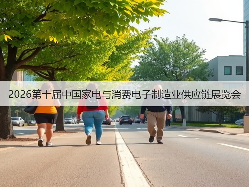 2026第十届中国家电与消费电子制造业供应链展览会