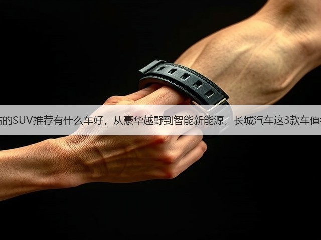 40万左右的SUV推荐有什么车好,从豪华越野到智能新能源,长城汽车这3款车值得考虑!(图2) 40万左右的SUV推荐有什么车好,从豪华越野到智能新能源,长城汽车这3款车值得考虑!(图2)