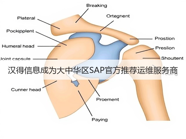 汉得信息成为大中华区SAP官方推荐运维服务商(图1) 汉得信息成为大中华区SAP官方推荐运维服务商(图1)