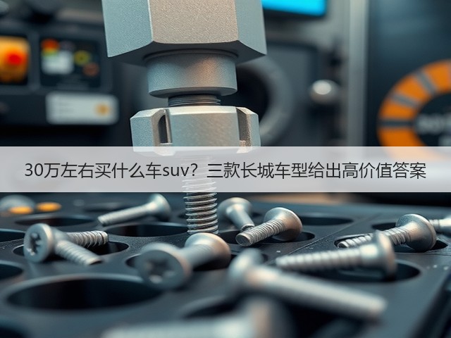 30万左右买什么车suv？三款长城车型给出高价值答案(图3)
