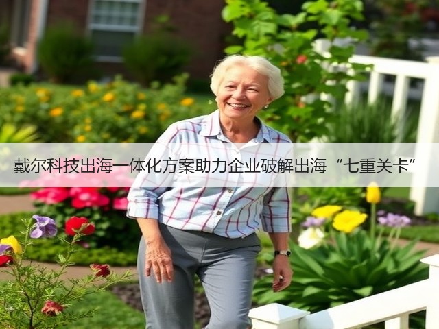戴尔科技出海一体化方案助力企业破解出海“七重关卡”(图3)