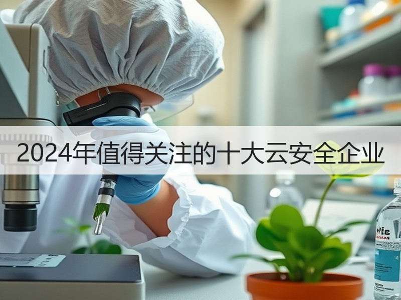 2024年值得关注的十大云安全企业