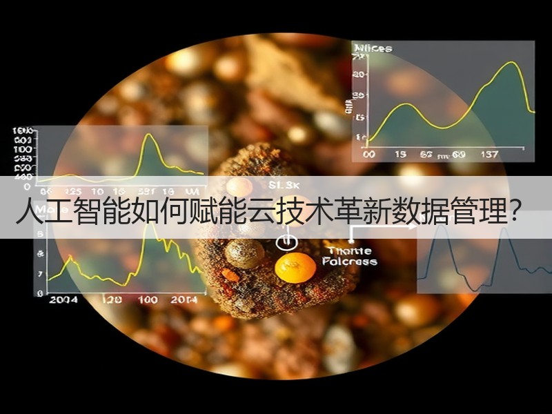 人工智能如何赋能云技术革新数据管理？