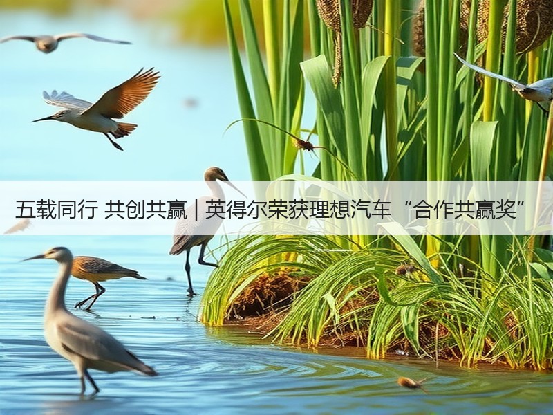 五载同行 共创共赢 | 英得尔荣获理想汽车“合作共赢奖”