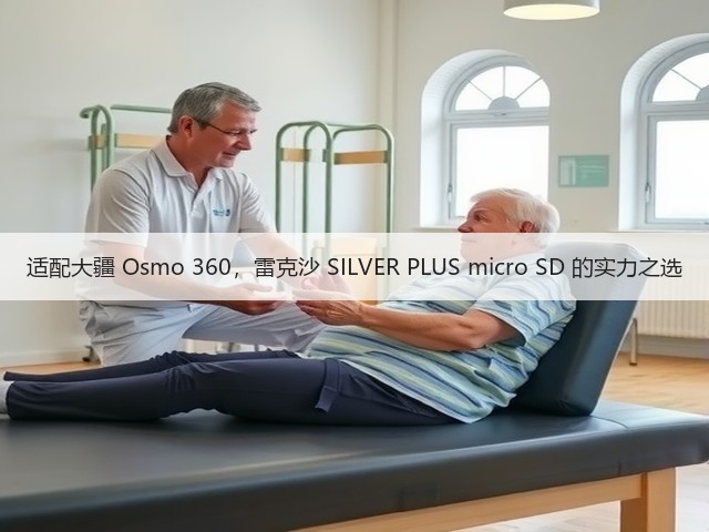适配大疆 Osmo 360,雷克沙 SILVER PLUS micro SD 的实力之选(图3) 适配大疆 Osmo 360,雷克沙 SILVER PLUS micro SD 的实力之选(图3)