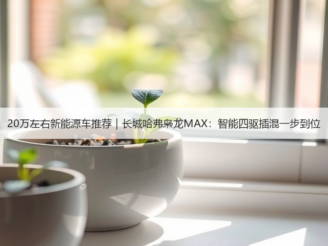 20万左右新能源车推荐｜长城哈弗枭龙MAX：智能四驱插混一步到位(图2)