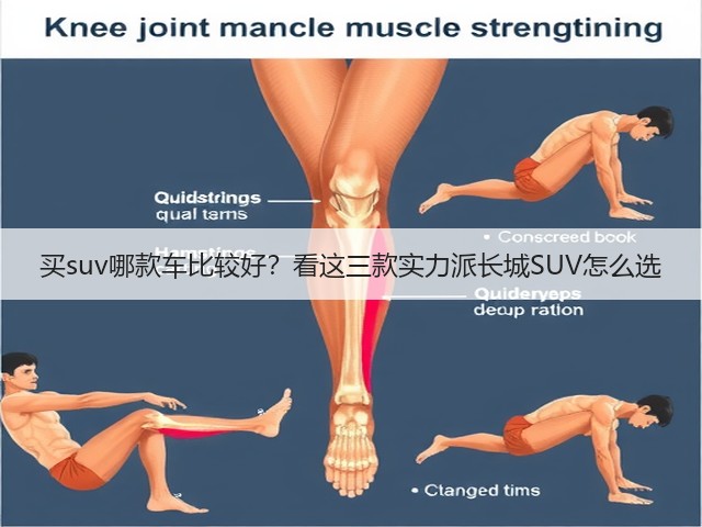 买suv哪款车比较好?看这三款实力派长城SUV怎么选(图3) 买suv哪款车比较好?看这三款实力派长城SUV怎么选(图3)