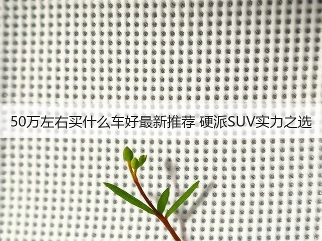 50万左右买什么车好最新推荐 硬派SUV实力之选(图2) 50万左右买什么车好最新推荐 硬派SUV实力之选(图2)