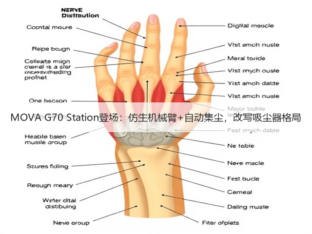MOVA G70 Station登场:仿生机械臂+自动集尘,改写吸尘器格局(图2) MOVA G70 Station登场:仿生机械臂+自动集尘,改写吸尘器格局(图2)