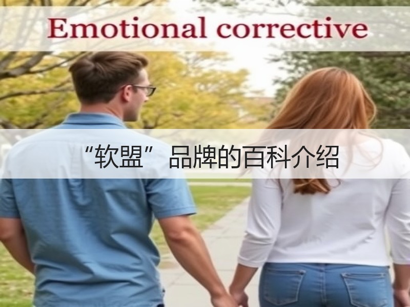 “软盟”品牌的百科介绍