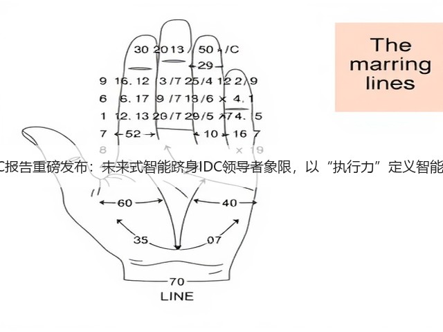 2025 IDC报告重磅发布:未来式智能跻身IDC领导者象限,以“执行力”定义智能体生产力(图3) 2025 IDC报告重磅发布:未来式智能跻身IDC领导者象限,以“执行力”定义智能体生产力(图3)