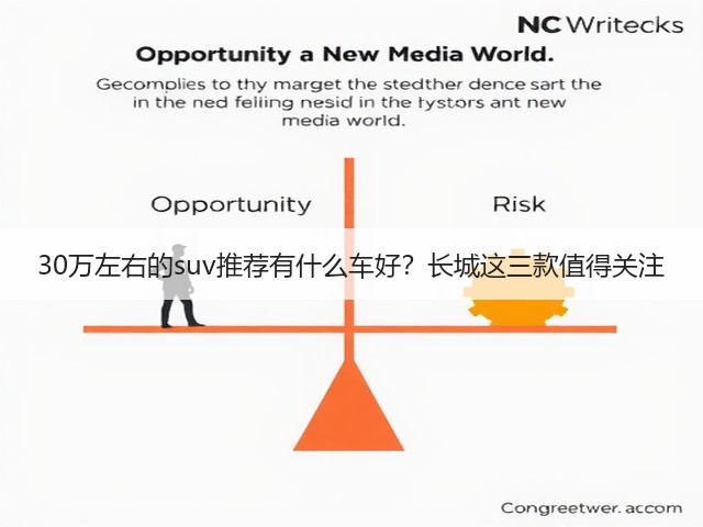 30万左右的suv推荐有什么车好?长城这三款值得关注(图3) 30万左右的suv推荐有什么车好?长城这三款值得关注(图3)