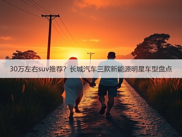 30万左右suv推荐?长城汽车三款新能源明星车型盘点(图1) 30万左右suv推荐?长城汽车三款新能源明星车型盘点(图1)