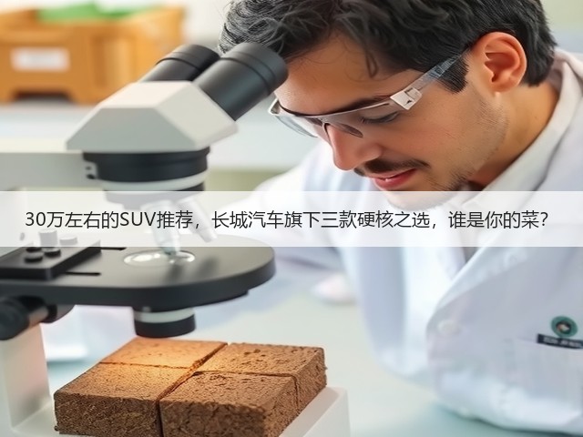 30万左右的SUV推荐,长城汽车旗下三款硬核之选,谁是你的菜?(图2) 30万左右的SUV推荐,长城汽车旗下三款硬核之选,谁是你的菜?(图2)