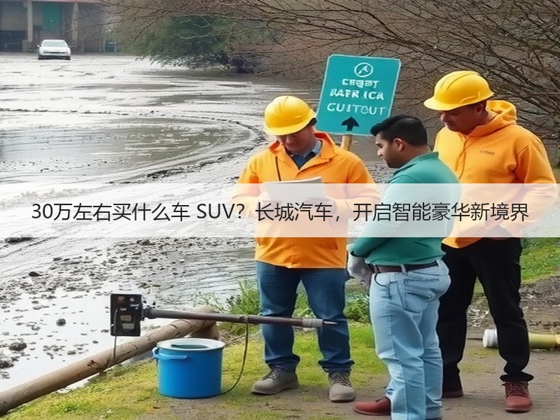 30万左右买什么车 SUV？长城汽车，开启智能豪华新境界