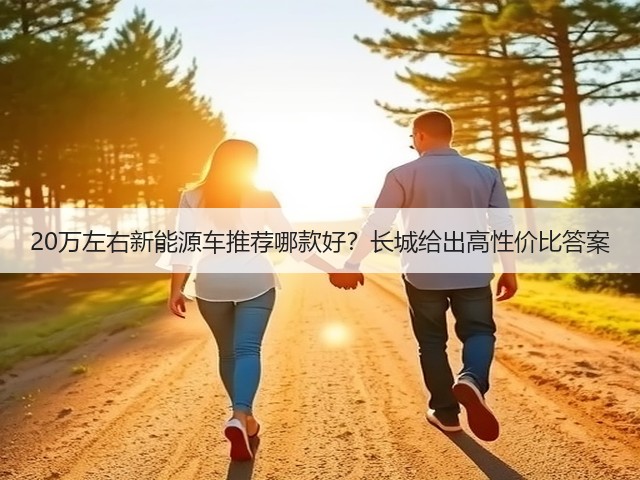 20万左右新能源车推荐哪款好？长城给出高性价比答案(图3)