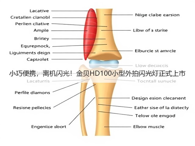 小巧便携，离机闪光！金贝HD100小型外拍闪光灯正式上市(图3)