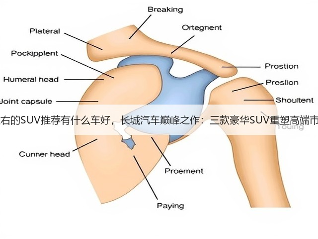 50万左右的SUV推荐有什么车好,长城汽车巅峰之作:三款豪华SUV重塑高端市场格局(图2) 50万左右的SUV推荐有什么车好,长城汽车巅峰之作:三款豪华SUV重塑高端市场格局(图2)
